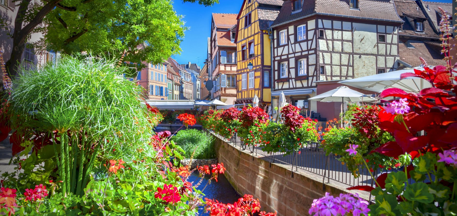Ophorus Tours - Fairytale Alsace: Colmar, Villages & Haut Koenigsbourg from Mulhouse