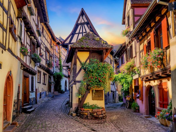 Ophorus Tours - Fairytale Alsace: Colmar, Villages & Haut Koenigsbourg from Mulhouse