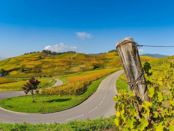 Ophorus Tours - Fairytale Alsace: Colmar, Villages & Haut Koenigsbourg from Mulhouse