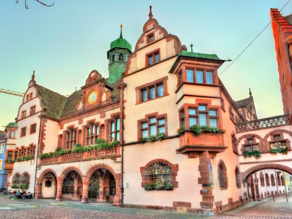 Ophorus Tours - Freiburg & Black Forest Highlights: Private Tour from Mulhouse