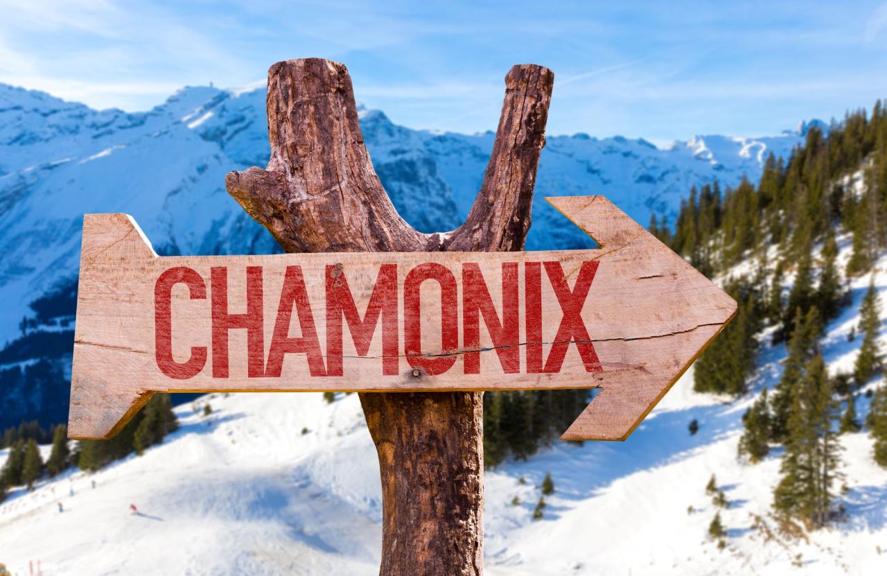 Ophorus Tours - From Chamonix to Lyon Private Transfer