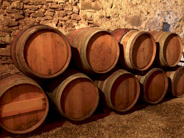 Ophorus Tours - From Sète Port Languedoc Wine Tour Shore Excursion private