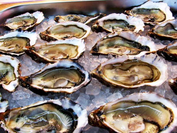 Ophorus Tours - From Sète Port Walking Tour, Oyster tasting & Languedoc wines private