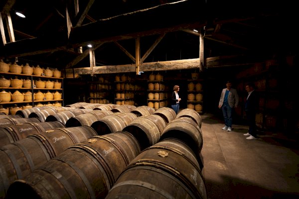 Ophorus Tours - Luxury Cognac Tasting: Hennessy X.O & Richard