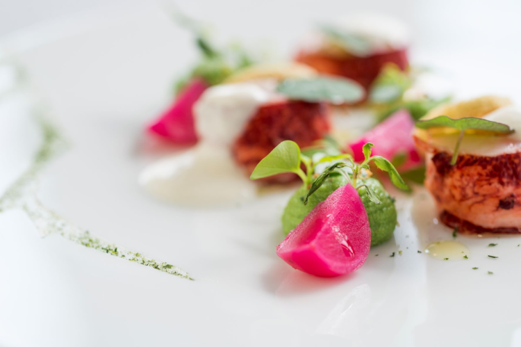 Ophorus Tours - Luxury Seine River Cruise, Fine Dining & Drinks in Paris France 