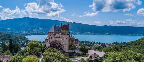 Ophorus Tours - Lyon to Annecy: Hassle-Free Private Transfer 