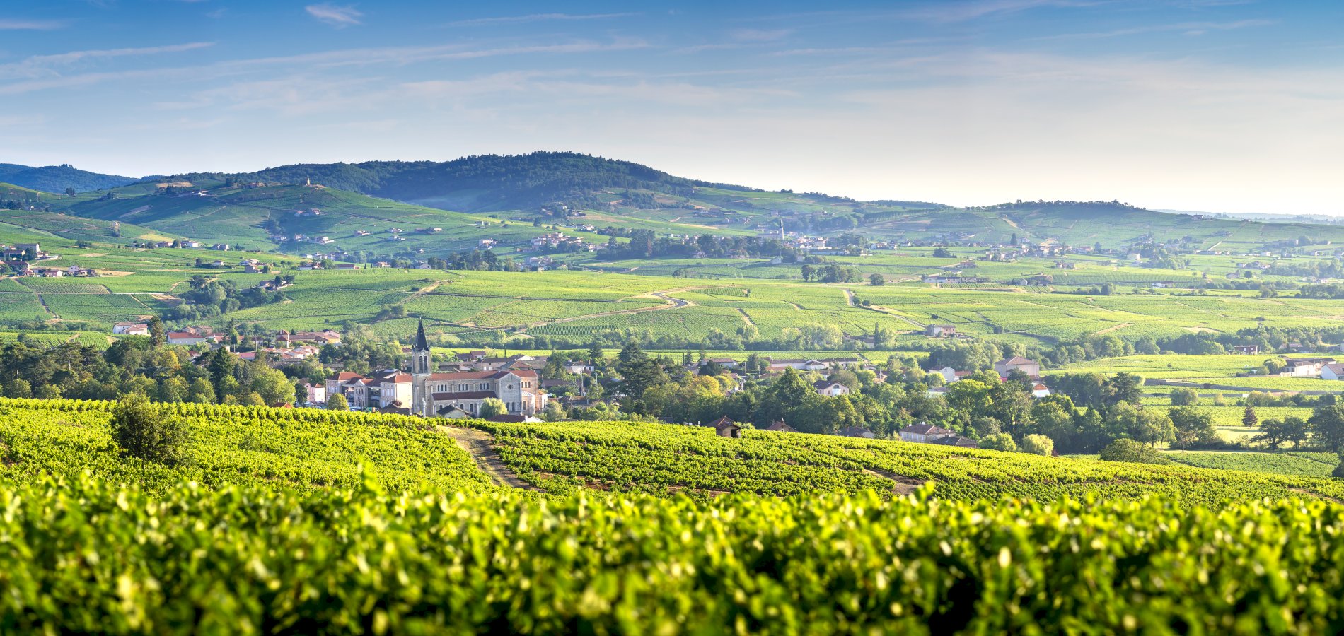 Ophorus Tours - Lyon to Beaujolais Wine Escape: Shared Day Trip