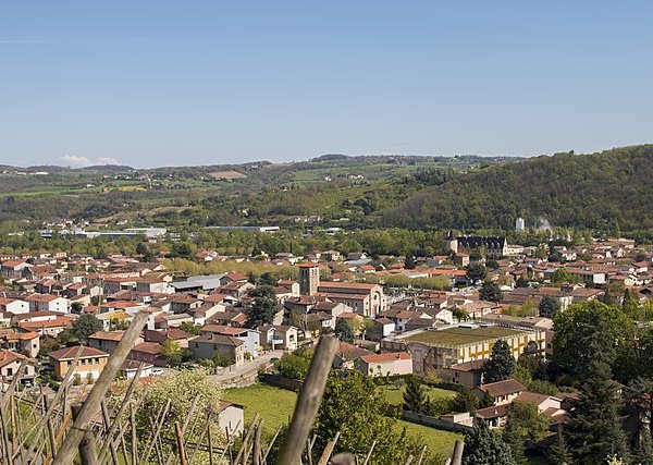 Ophorus Tours - Lyon to Beaujolais Wine Escape: Shared Day Trip