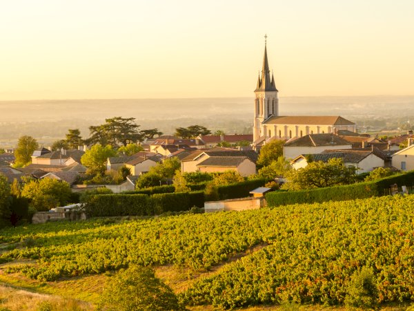 Ophorus Tours - Lyon to Beaujolais Wine Escape: Shared Day Trip