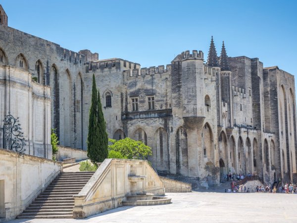 Ophorus Tours - Medieval Marvels & Chateauneuf du Pape Wines: Private Marseille Shore Trip