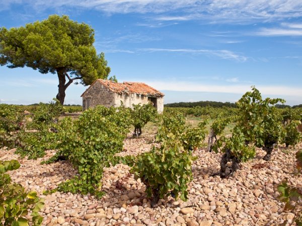 Ophorus Tours - Medieval Marvels & Chateauneuf du Pape Wines: Private Marseille Shore Trip