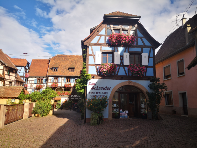 Ophorus Tours - Highlights of Alsace private day tour from Paris by train
