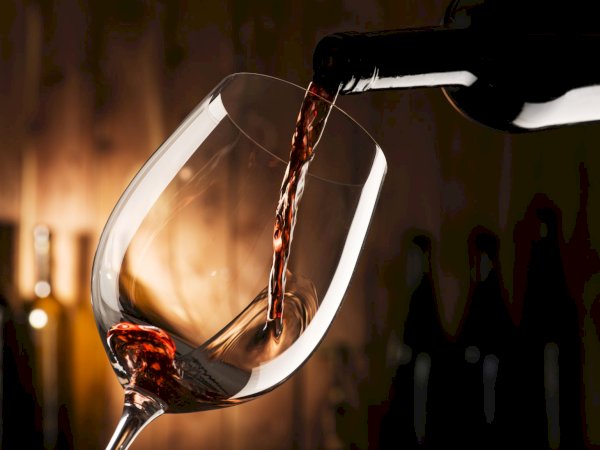 Ophorus Tours - Médoc's Wine & Culinary Delights: Private Tour with Blending & Pairing