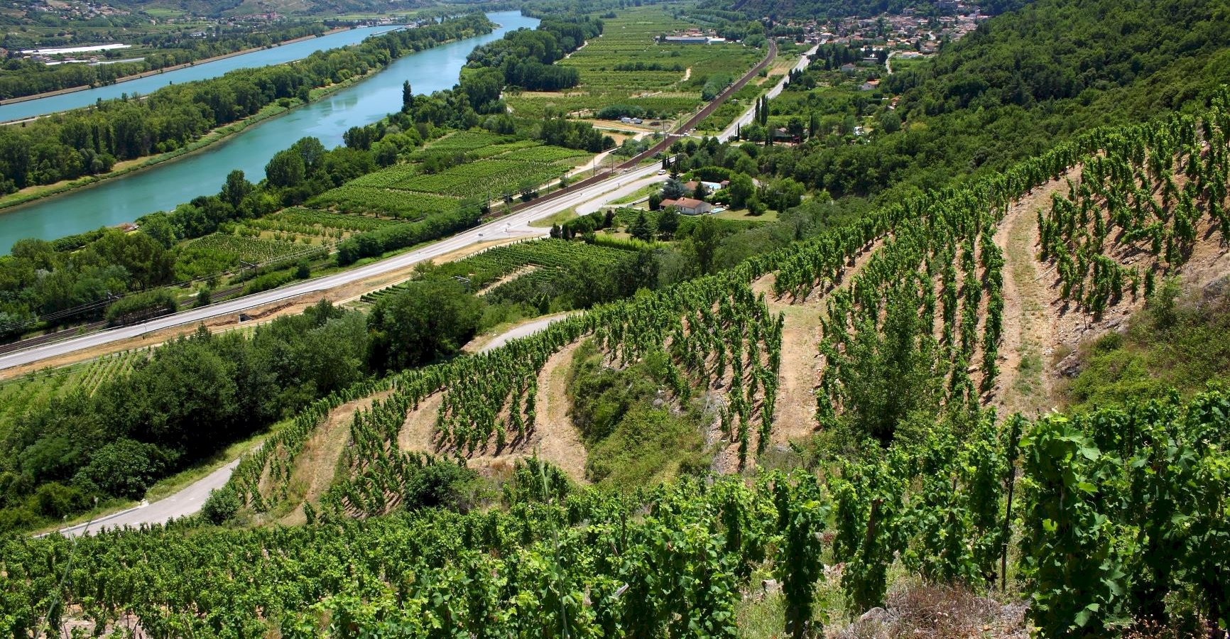 Ophorus Tours - Northern Rhône Delights: Private Full-Day Wine Tour from Lyon