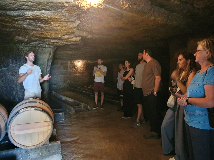 Ophorus Tours - Panoramic Bordeaux, Picnic & Saint-Emilion Wines: The Complete Shore Trip 
