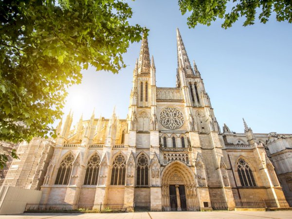 Ophorus Tours - Panoramic Bordeaux, Picnic & Saint-Emilion Wines: The Complete Shore Trip 