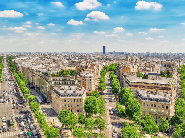 Ophorus Tours - Paris Panoramic Tour & Orsay Museum Visit private