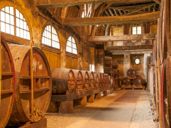 Ophorus Tours - Pays d'Auge Delights: Honfleur, Beuvron & Calvados Tasting from Caen