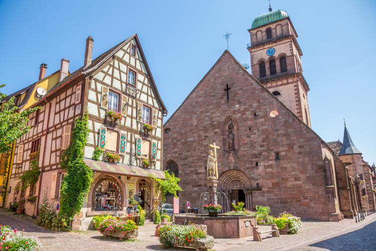 Ophorus Tours - Private Wine Tour from Colmar: Taste the Wines of France and Germany