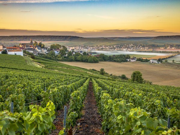 Ophorus Tours - 4-Day Private Champagne Package - Reims - 4* Hotel