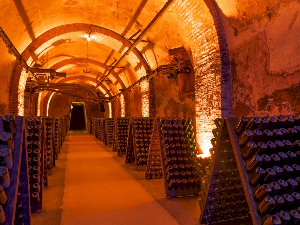 Ophorus Tours - 4-Day Private Champagne Package - Reims - 4* Hotel