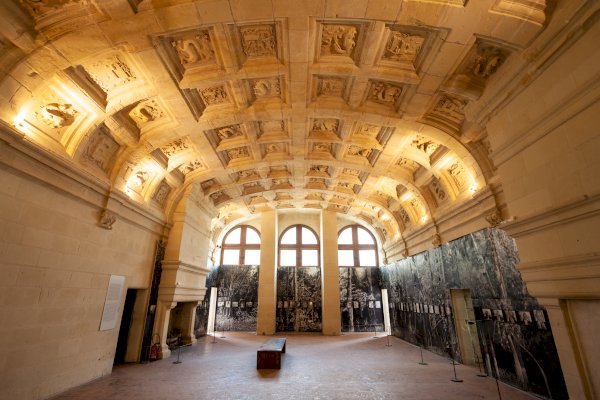 Ophorus Tours - Private Half-Day Loire Valley Castle Tour – Chambord for 2 persons