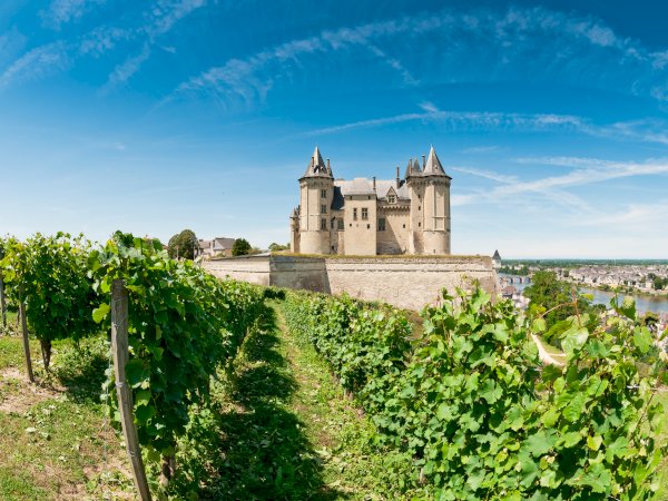 Ophorus Tours - Private Loire Valley Package: 4 Days of Castles, Wine & Amboise Comfort