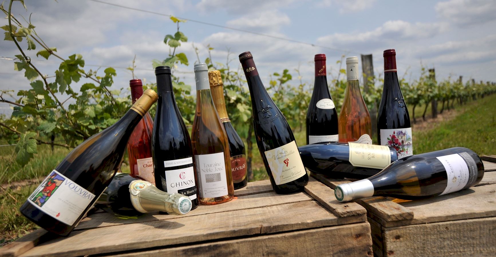 Ophorus Tours - Private Loire Valley Wine Tour – Chinon & Bourgueil for 2 From Tours