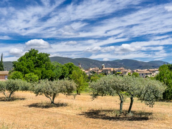 Ophorus Tours - Provence Enchantment: Private Luberon Villages Tour from Marseille
