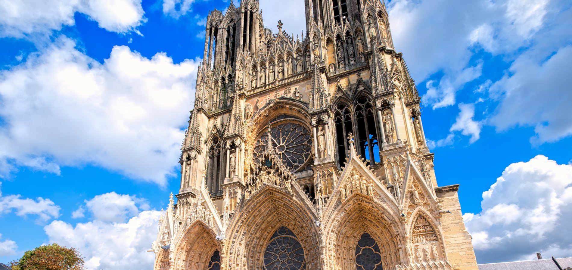 Ophorus Tours - Reims City Tour: Private Guide & Walking Adventure