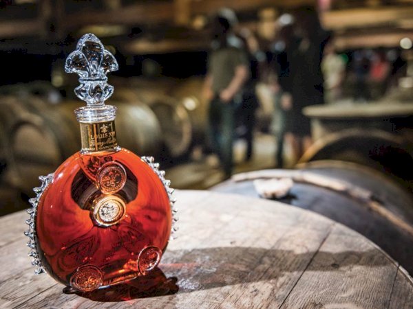 Ophorus Tours - Rémy Martin Visit & Louis XIII Cognac Exclusive Tasting tour
