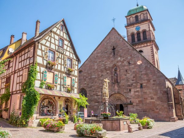 Ophorus Tours - Riquewihr Private Tour: Colmar, Eguisheim, and Haut Koenigsbourg