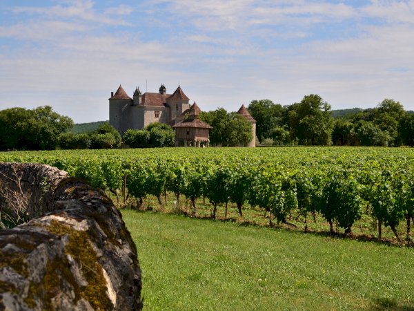 Ophorus Tours - Secrets of Bonaguil Castle & Malbec Wines: Private Tour from Sarlat