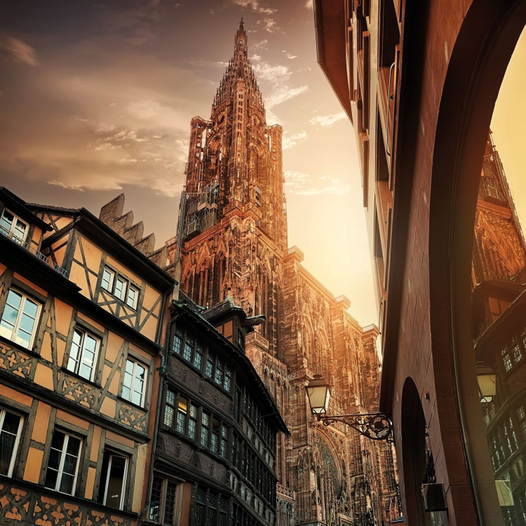 Ophorus Tours - Strasbourg Private Walking Tour: Petite France & Vauban Dam