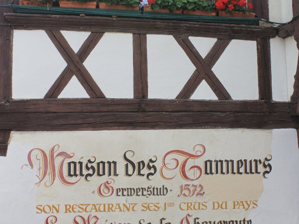 Ophorus Tours - Ultimate Strasbourg Walking Tour: Petite France, Vauban Dam & Cathedral