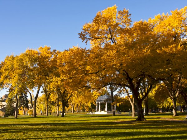 Ophorus Tours - Unveiling Vimy & Somme: Private WW1 Battlefields Tour from Arras