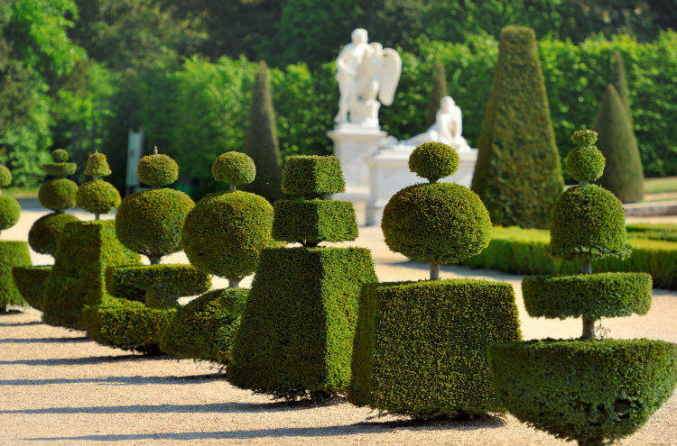 Ophorus Tours - Versailles from Honfleur: Private Shore Excursion to a Royal Palace