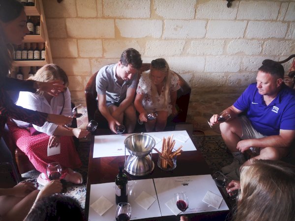 Ophorus Tours - Vineyards & Tastings: Private Bordeaux Wine Tour by Train from Paris