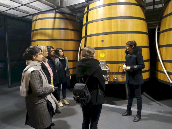 Ophorus Tours - Vineyards of Medoc: Wine Tour from Bordeaux to Le Verdon Cruise Port