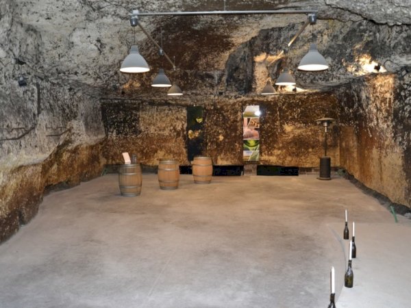 Ophorus Tours - Vouvray Vineyard & Tasting Tour – Private Half-Day from Tours