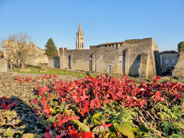 Ophorus Tours - Wine Lover's Escape to Saint-Emilion: Private Half-Day Shore Trip