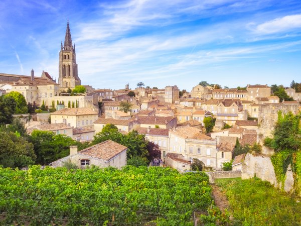 Ophorus Tours - Wine Lover's Escape to Saint-Emilion: Private Half-Day Shore Trip