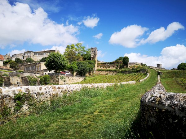Ophorus Tours - Wine Lover's Escape to Saint-Emilion: Private Half-Day Shore Trip