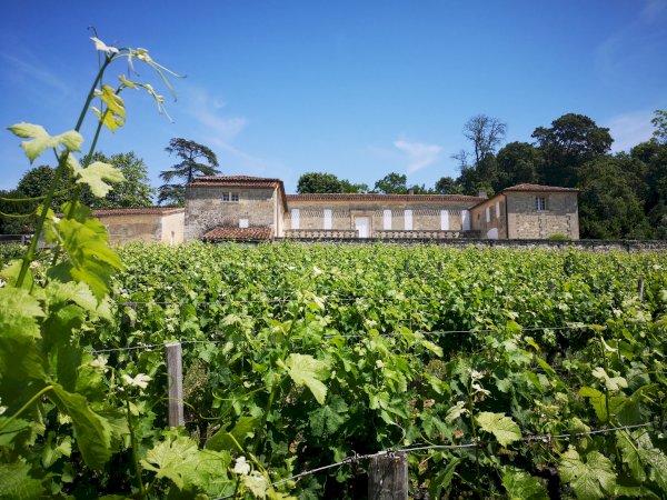 Ophorus Tours - Wine Lover's Escape to Saint-Emilion: Private Half-Day Shore Trip