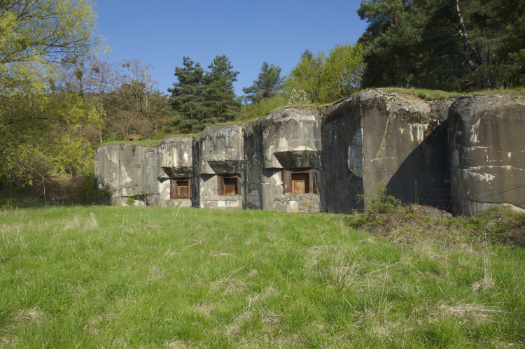 Ophorus Tours - WWI Alsace Museums & Sights Private Tour : A Historical Immersion