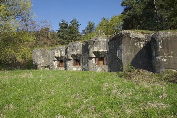 Ophorus Tours - WWI Alsace Museums & Sights Private Tour : A Historical Immersion