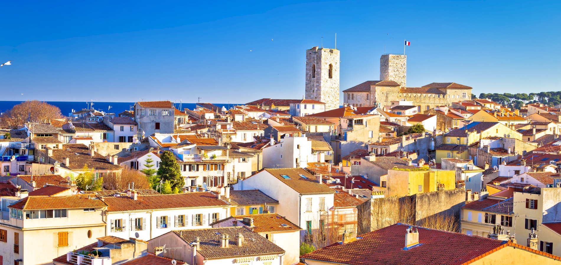 Ophorus Tours - From Villefranche sur Mer Cruise Port: Visit Antibes & Juan Les Pins private