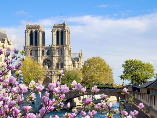 Ophorus Tours - 10-Day Private Paris, Normandy & Loire Valley Package - 5* Hotel