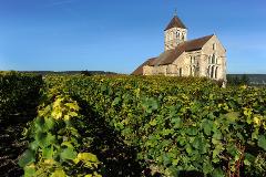 Ophorus Tours - 11-Day Private Escape to Champagne, Alsace, and Burgundy in 4* Hotel