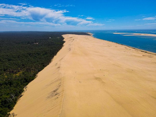 Ophorus Tours - 3-Hour Private Boat Tour: Discover Arcachon Bay's Secrets by Pinasse